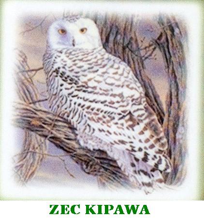 Photo de couverture - Zec Kipawa